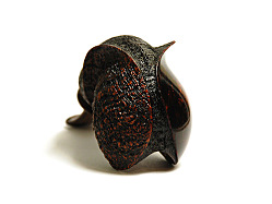 1502-7.jpg